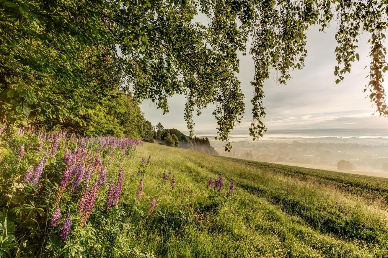 Wellness Apartmany Cesky Raj & Biokolna Lomnice nad Popelkou Eksteriør bilde